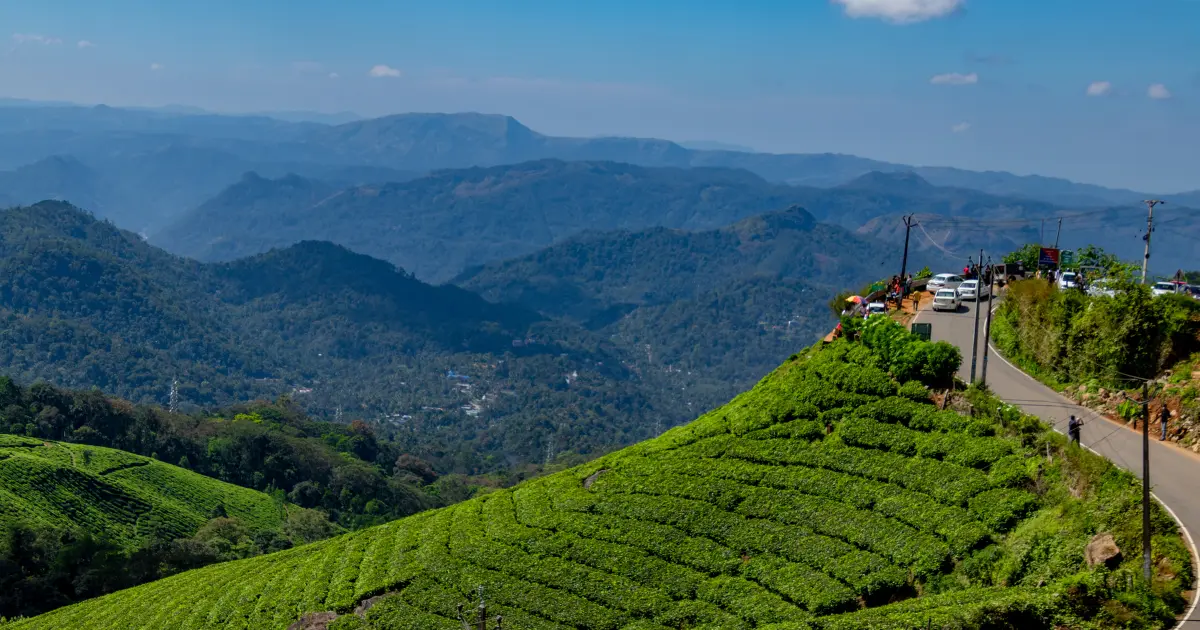 Shyamkhet Tea Garden